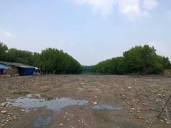 ขายที่ดินเนื้อที่ 8-0-57 ไร่ ซ.เทียนทะเล 25 เหมาะสร้างโรงงานหรือโกดังสินค้า-202511091245181762667118006.jpg