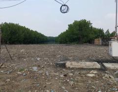 ขายที่ดินเนื้อที่ 8-0-57 ไร่ ซ.เทียนทะเล 25 เหมาะสร้างโรงงานหรือโกดังสินค้า-202511091245181762667118523.jpg