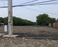 ขายที่ดินเนื้อที่ 8-0-57 ไร่ ซ.เทียนทะเล 25 เหมาะสร้างโรงงานหรือโกดังสินค้า-202511091245191762667119061.jpg