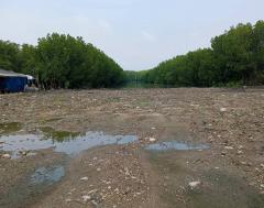 ขายที่ดินเนื้อที่ 8-0-57 ไร่ ซ.เทียนทะเล 25 เหมาะสร้างโรงงานหรือโกดังสินค้า-202511091245191762667119590.jpg