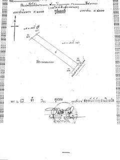 ขายที่ดินเนื้อที่ 8-0-57 ไร่ ซ.เทียนทะเล 25 เหมาะสร้างโรงงานหรือโกดังสินค้า-202511091245221762667122320.jpg