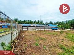 ขายที่ดิน เนื้อที่ 1 ไร่ 7.4 ตร.วา บางคนที สมุทรสงคราม-202511091255571762667757586.jpg