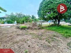 ขายที่ดิน เนื้อที่ 1 ไร่ 7.4 ตร.วา บางคนที สมุทรสงคราม-202511091255581762667758656.jpg