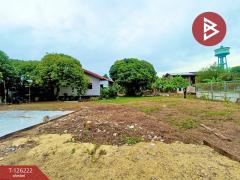 ขายที่ดิน เนื้อที่ 1 ไร่ 7.4 ตร.วา บางคนที สมุทรสงคราม-202511091255591762667759636.jpg