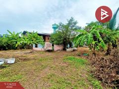 ขายที่ดิน เนื้อที่ 1 ไร่ 7.4 ตร.วา บางคนที สมุทรสงคราม-202511091256001762667760696.jpg