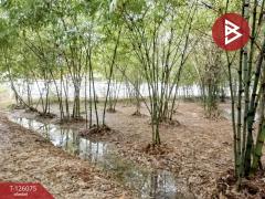 ขายที่ดิน-เนื้อที่-4-ไร่-1-งาน-95.8-ตารางว