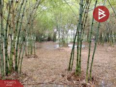 ขายที่ดิน เนื้อที่ 4 ไร่ 1 งาน 95.8 ตารางวา ปราณบุรี ประจวบคีรีขันธ์-202511091308171762668497533.jpg