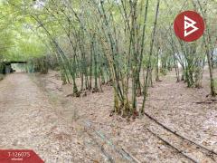 ขายที่ดิน เนื้อที่ 4 ไร่ 1 งาน 95.8 ตารางวา ปราณบุรี ประจวบคีรีขันธ์-202511091308181762668498604.jpg