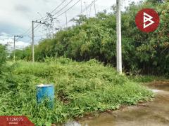 ขายที่ดิน เนื้อที่ 4 ไร่ 1 งาน 95.8 ตารางวา ปราณบุรี ประจวบคีรีขันธ์-202511091308191762668499685.jpg