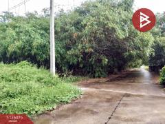 ขายที่ดิน เนื้อที่ 4 ไร่ 1 งาน 95.8 ตารางวา ปราณบุรี ประจวบคีรีขันธ์-202511091308201762668500218.jpg