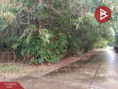 ขายที่ดิน เนื้อที่ 4 ไร่ 1 งาน 95.8 ตารางวา ปราณบุรี ประจวบคีรีขันธ์-202511091308201762668500763.jpg