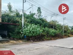 ขายที่ดิน เนื้อที่ 4 ไร่ 1 งาน 95.8 ตารางวา ปราณบุรี ประจวบคีรีขันธ์-202511091308211762668501828.jpg