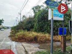 ขายที่ดิน เนื้อที่ 4 ไร่ 1 งาน 95.8 ตารางวา ปราณบุรี ประจวบคีรีขันธ์-202511091308221762668502930.jpg