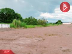 ขายที่ดิน เนื้อที่ 4 ไร่ 2 งาน 7.2 ตร.วา วัดโบสถ์ พิษณุโลก-202511091320481762669248139.jpg