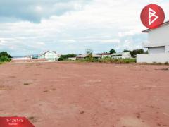 ขายที่ดิน เนื้อที่ 4 ไร่ 2 งาน 7.2 ตร.วา วัดโบสถ์ พิษณุโลก-202511091320491762669249110.jpg