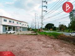 ขายที่ดิน เนื้อที่ 4 ไร่ 2 งาน 7.2 ตร.วา วัดโบสถ์ พิษณุโลก-202511091320501762669250561.jpg