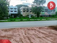 ขายที่ดิน เนื้อที่ 4 ไร่ 2 งาน 7.2 ตร.วา วัดโบสถ์ พิษณุโลก-202511091320511762669251526.jpg