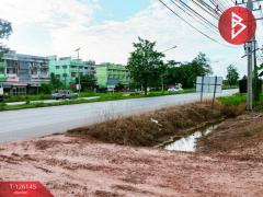 ขายที่ดิน เนื้อที่ 4 ไร่ 2 งาน 7.2 ตร.วา วัดโบสถ์ พิษณุโลก-202511091320521762669252515.jpg