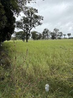 ด่วน ขายที่นา ราคาถูก อ.กันทรารมย์ จ.ศรีสะเกษ เนื้อที่ 12 ไร่ 2 งาน 62.6 ตร.ว. โทร 062-5982441 (คุณโย)-202511091405321762671932737.jpg