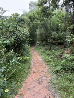 ด่วน ขายที่นา ราคาถูก อ.กันทรารมย์ จ.ศรีสะเกษ เนื้อที่ 12 ไร่ 2 งาน 62.6 ตร.ว. โทร 062-5982441 (คุณโย)-202511091405331762671933757.jpg