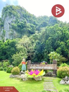 ขายที่ดิน เนื้อที่ 38.2 ตารางวา อ.เขาชัยสน จ.พัทลุง-202511091541511762677711014.jpg