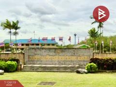 ขายที่ดิน เนื้อที่ 38.2 ตารางวา อ.เขาชัยสน จ.พัทลุง-202511091541511762677711550.jpg