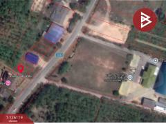 ขายที่ดิน เนื้อที่ 38.2 ตารางวา อ.เขาชัยสน จ.พัทลุง-202511091541521762677712085.jpg