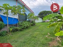 ขายที่ดินพร้อมสิ่งปลูกสร้าง เนื้อที่ 5 ไร่ 3 งาน 12.1 ตร.วา มาบตาพุด ระยอง-202511091735141762684514097.jpg