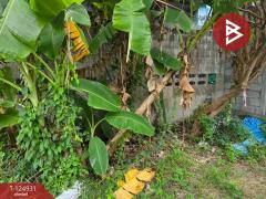 ขายที่ดินพร้อมสิ่งปลูกสร้าง เนื้อที่ 5 ไร่ 3 งาน 12.1 ตร.วา มาบตาพุด ระยอง-202511091735141762684514641.jpg