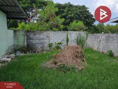 ขายที่ดินพร้อมสิ่งปลูกสร้าง เนื้อที่ 5 ไร่ 3 งาน 12.1 ตร.วา มาบตาพุด ระยอง-202511091735171762684517968.jpg