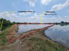 ขาย ที่ดิน ติดถนนสามโคก-เสนา ทล.3111 อ.สามโคก ปทุมธานี ทำเลดีพื้นที่ลงทุน เนื้อที่ 37 ไร่ 12.2 ตรว ลดลงราคา 36 ล้าน เจ้าของอยากขายมากๆ-202511100338201762720700650.jpg