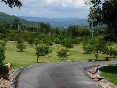 ขายบ้านพร้อมที่ดิน 32ไร่ 3 งาน 82 ตารางวา มีสวน เขาใหญ่-202511100452111762725131494.jpg