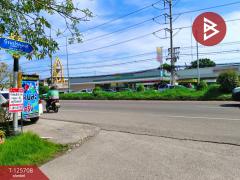 ขายทาวน์เฮ้าส์ 2 ชั้น เนื้อที่ 16 ตร.วา บ้านปรก สมุทรสงคราม-202511100957241762743444346.jpg