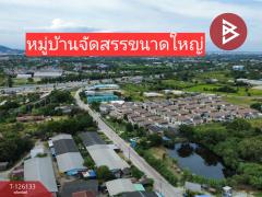 ขายที่ดิน เนื้อที่ 10 ไร่ 2 งาน 95 ตร.วา หนองรี ชลบุรี-202511101002051762743725483.jpg