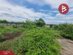 ขายที่ดินสวย เนื้อที่ 2 งาน 83 ตารางวา ชะอำ เพชรบุรี ใกล้ชายทะเล-202511101141321762749692091.jpg