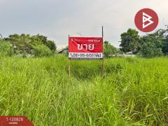 ขายที่ดิน-เนื้อที่-2-งาน-31.8-ตร.วา-เทพาร