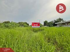  ขายที่ดิน เนื้อที่ 2 งาน 31.8 ตร.วา เทพารักษ์ สมุทรปราการ-202511101214181762751658622.jpg