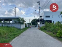  ขายที่ดิน เนื้อที่ 2 งาน 31.8 ตร.วา เทพารักษ์ สมุทรปราการ-202511101214191762751659165.jpg