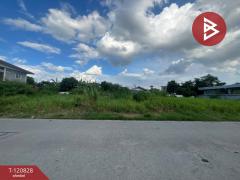  ขายที่ดิน เนื้อที่ 2 งาน 31.8 ตร.วา เทพารักษ์ สมุทรปราการ-202511101214201762751660241.jpg