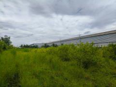  ขายที่ดิน 3 ไร่ 2 งาน 63 ตารางวา (1,463 ตร.ว.)  อำเภอกำแพงแสน จังหวัดนครปฐม-202511101259311762754371550.jpg