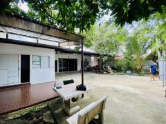 ขาย บ้านเดี่ยว หนองแขม เพชรเกษม 79 แยก 15 พื้นที่ใช้สอย 212 ตรม เนื้อที่ 1 งาน 3.9 ตรว-202511101333071762756387634.jpg