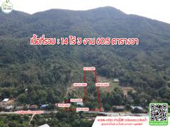 บ้าน(ไม้สัก)วิวท์ภูเข้า+ลำธาร สวยๆบรรยากาศดี ร่มรื่น เงียบสวบ พร้อมเข้าอยู่อาศัยได้ทันที-202511101423101762759390173.jpg