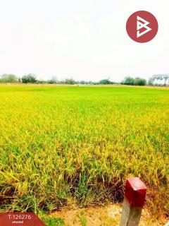 ขายบ้านเดี่ยวพร้อมที่ดิน เนื้อที่ 2 ไร่ เลาขวัญ กาญจนบุรี-202511101612131762765933704.jpg