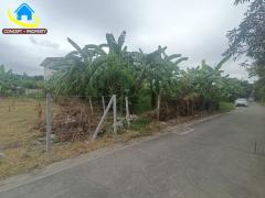 ขายที่ดิน 50 ตารางวา ซอยนาคนิวาส 14 ลาดพร้าว-202511101613531762766033096.jpg