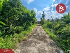 ขายที่ดิน เนื้อที่ 101.7 ตารางวา คลองใหม่ สามพราน นครปฐม-202511101627181762766838393.jpg