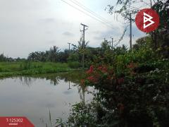 ขายบ้านเดี่ยวพร้อมที่ดิน ติดคลอง เนื้อที่ 1 ไร่ 3 งาน 67 ตร.วา อัมพวา สมุทรสงคราม-202511101642371762767757346.jpg