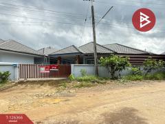 ขายบ้านเดี่ยวชั้นเดียว เนื้อที่ 50 ตร.วา มะเขือแจ้ ลำพูน