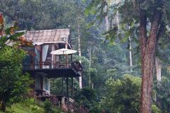 ราคาถูกมาก!! ให้เช่า/เซ้งกิจการรีสอร์ท พร้อมสวนกาแฟ 20 ไร่ ติดลำธาร ภูเขา ติดทางหลวง อ.ดอยสะเก็ด จ.เชียงใหม่-202511101815521762773352333.jpg