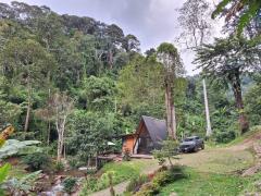 ราคาถูกมาก!! ให้เช่า/เซ้งกิจการรีสอร์ท พร้อมสวนกาแฟ 20 ไร่ ติดลำธาร ภูเขา ติดทางหลวง อ.ดอยสะเก็ด จ.เชียงใหม่-202511101815531762773353212.jpg