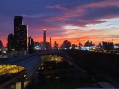 ให้เช่า คอนโด M1414 Life Asoke 30 ตรม Full Furnished-202511101919241762777164206.jpg